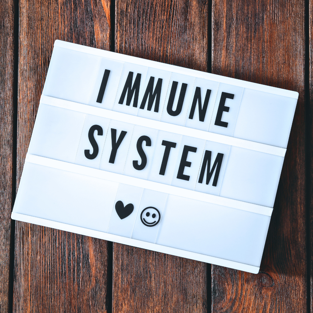 immune system board